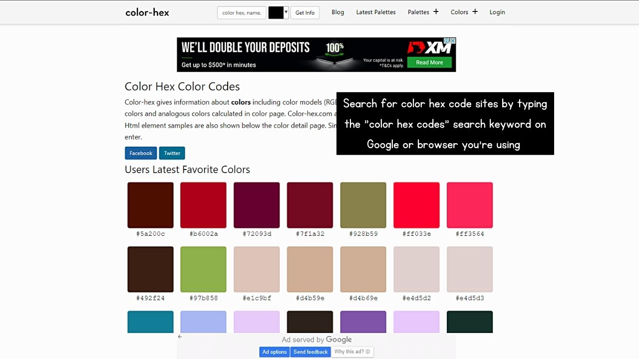 How to Change Text Color in Notion Desktop Using Hex Codes Step 1
