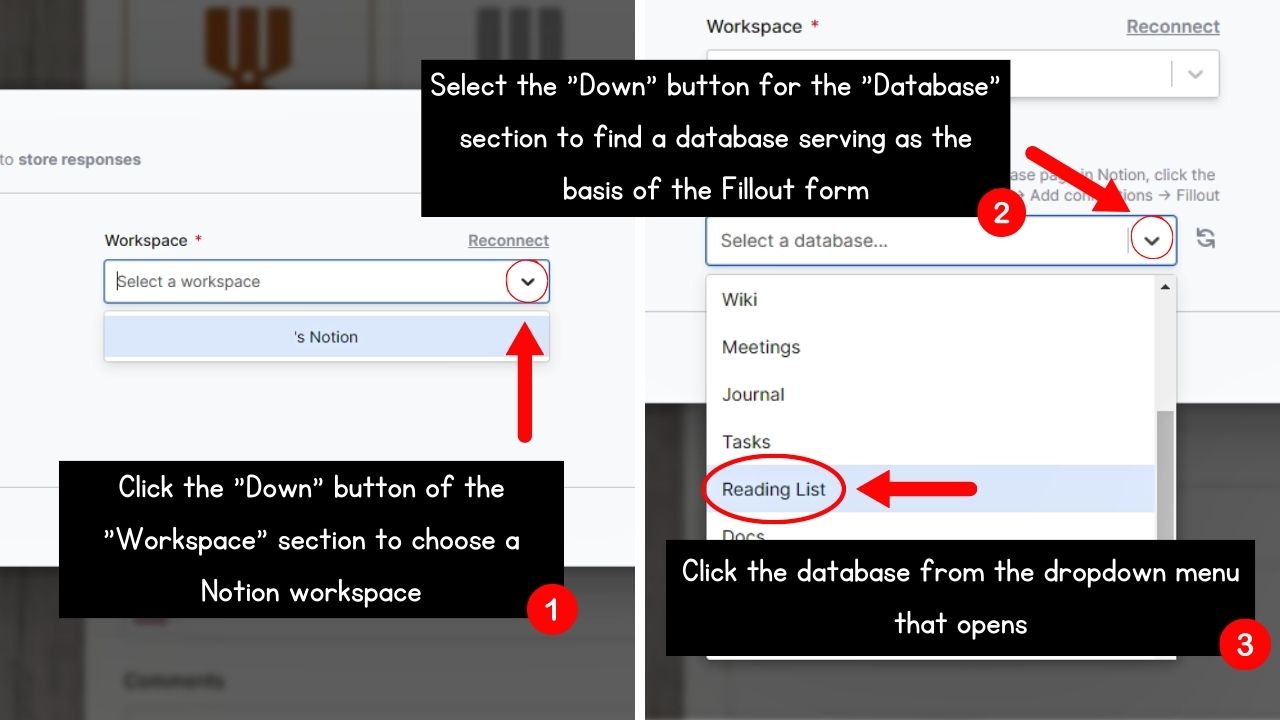 Connecting Notion Database with External Form Builder Tool to Create a Form in Notion Step 4