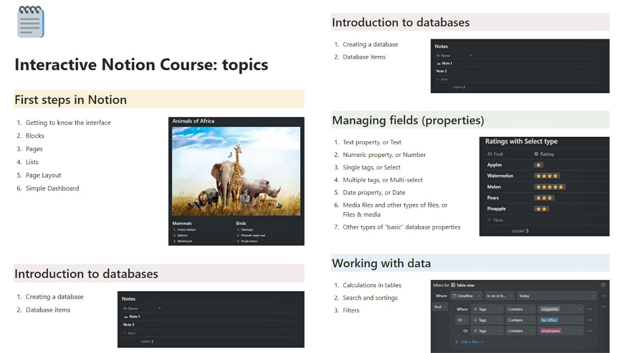 Notion Interactive Course by Artem Best Notion Courses