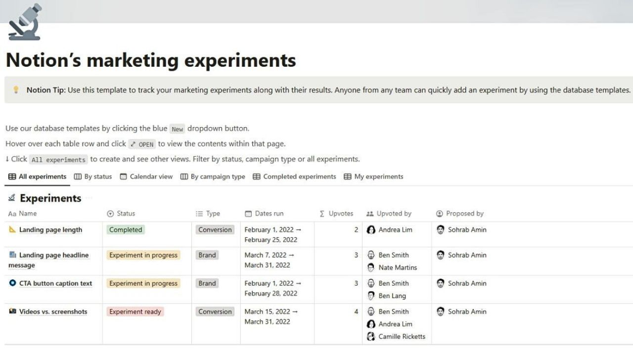 Marketing Experiments by Notion