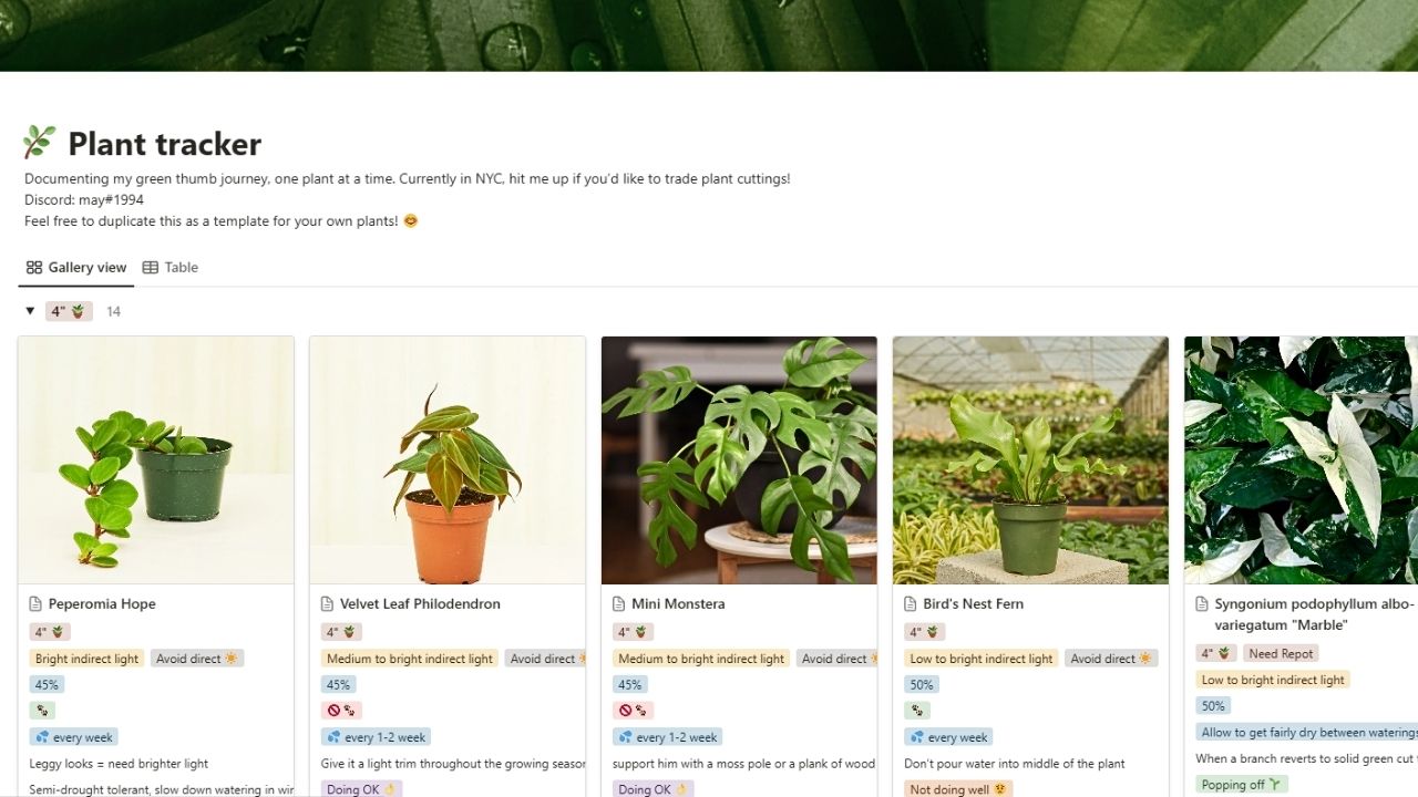 Plant Tracker by May Zhou Free Notion Templates