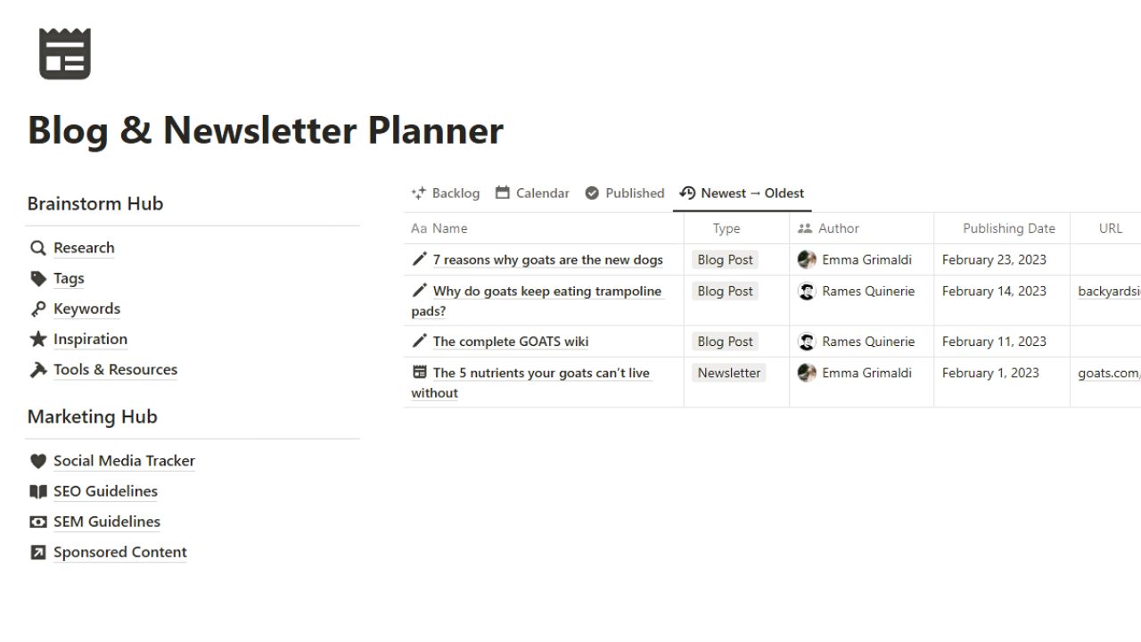 Blog & Newsletter Planner by Rames Quinerie Paid Notion Newsletter Templates